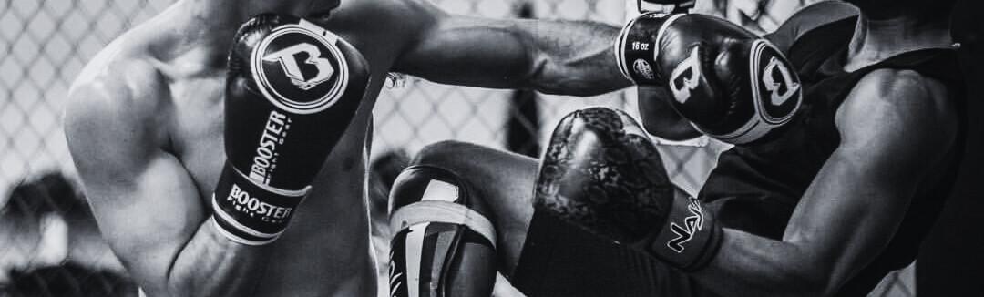 Booster Fight Gear Future Boxing Gloves