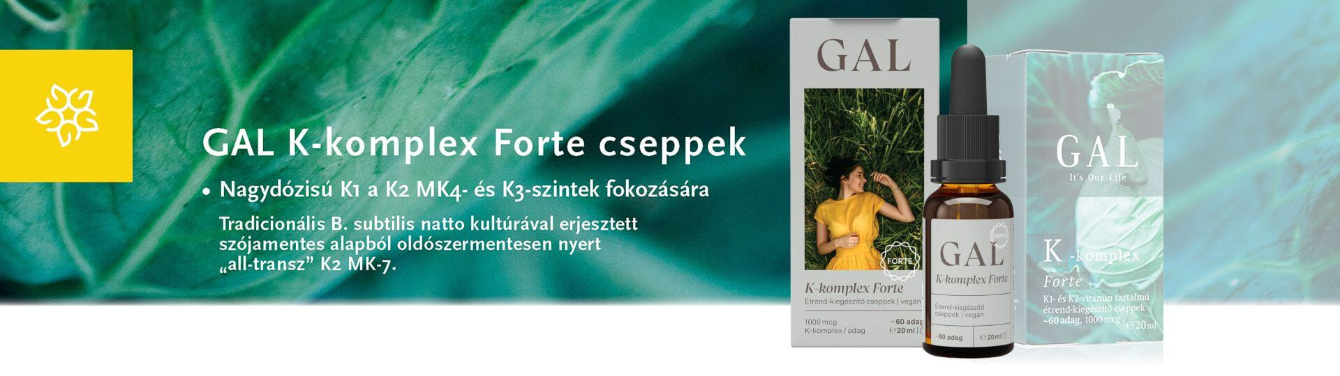 GAL-k-komplex-forte-cseppek