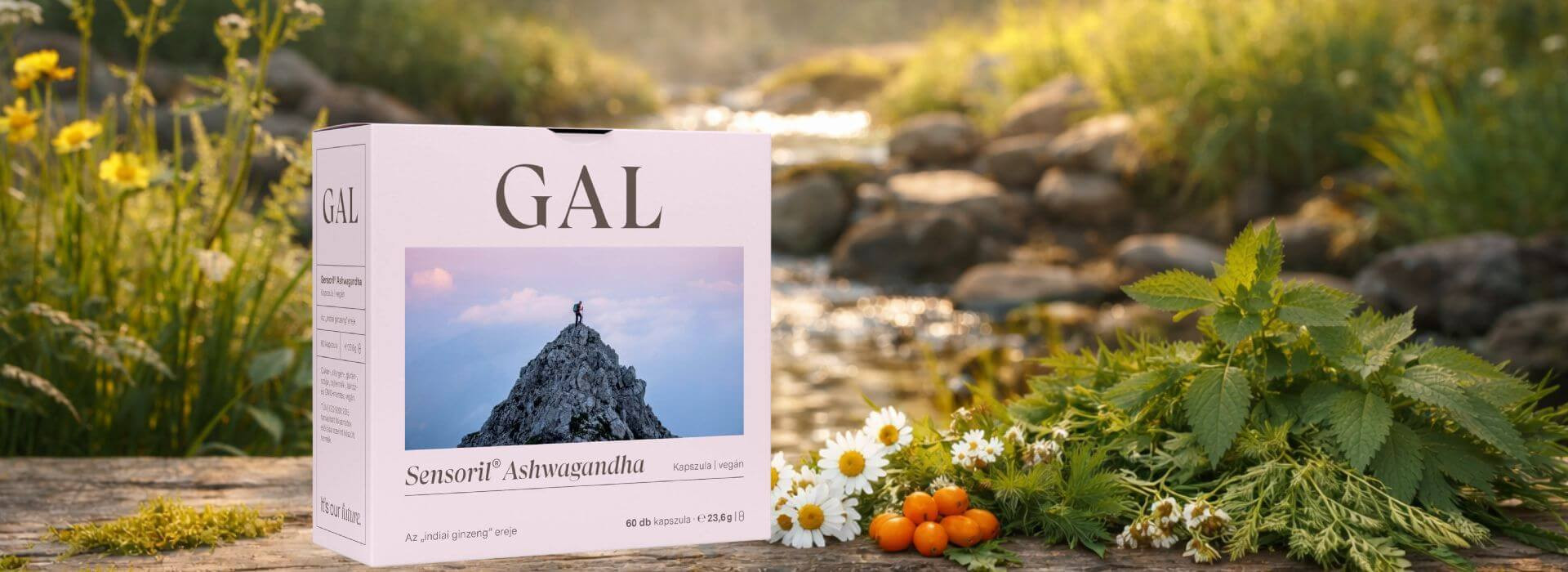 ashwagandha-sensoril-gal