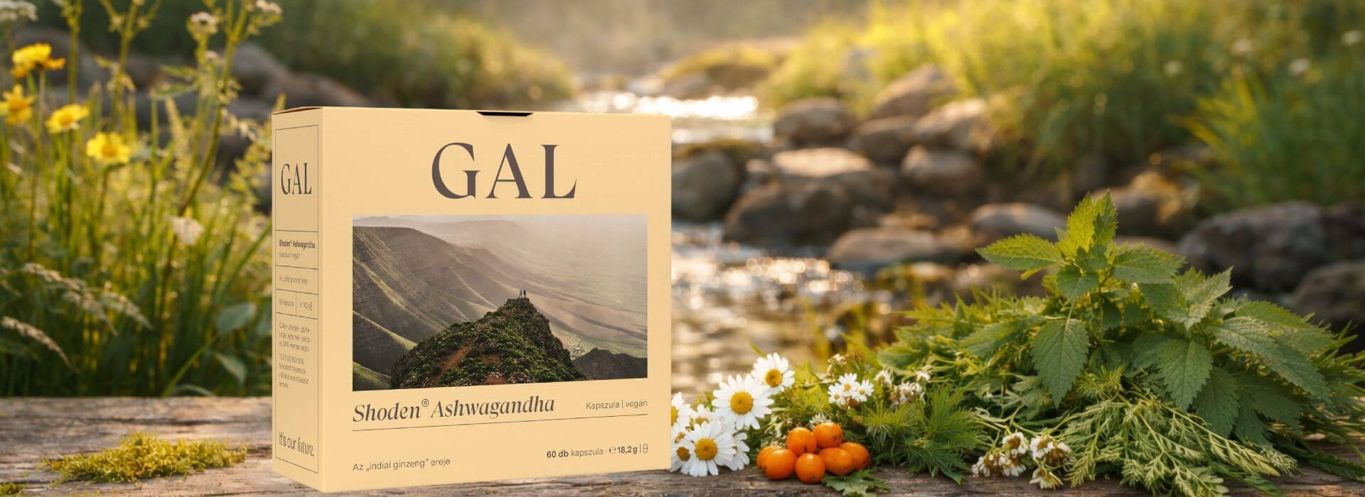 ashwagandha-shoden-gal