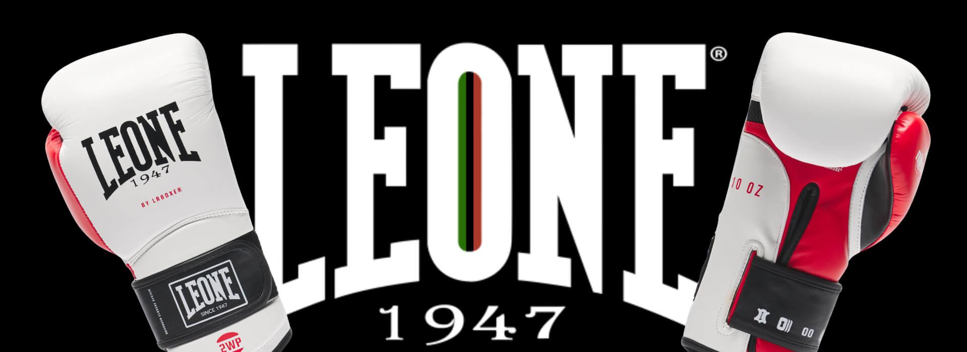 leone_il_tecnico_boxing