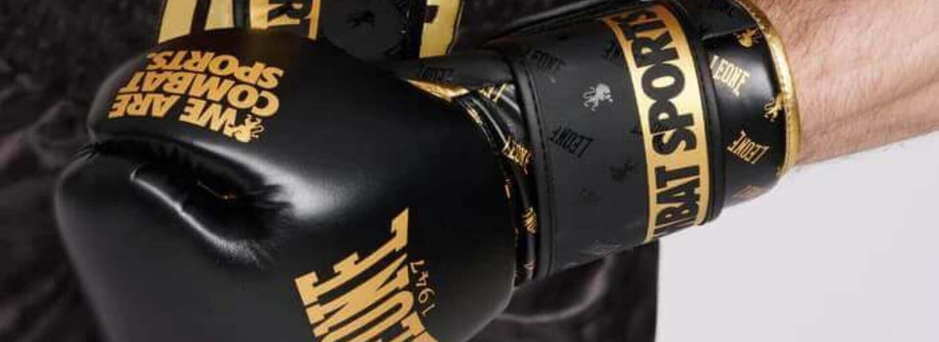 dna_boxing_life_leone