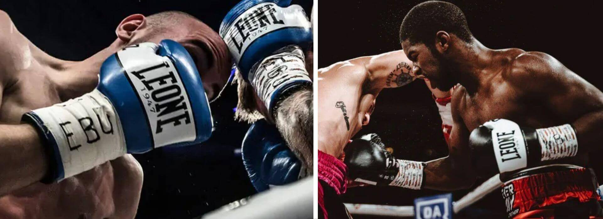boxing-gloves-leone-gn047