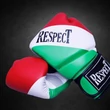 Boxkesztyű - Nemzeti színű - Respect
