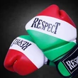 Boxkesztyű - Nemzeti színű - Respect