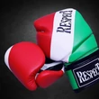 Boxkesztyű - Nemzeti színű - Respect