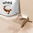 Whey PRO fehérje - 500 g - Nutriversum - Sós-Karamell