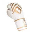 Boxkesztyű - BG Youth Elite V2 2 - Booster