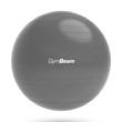 FitBall Labda - 65 cm - GymBeam