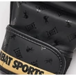 MMA Kesztyű - GP144 DNA - Leone Black