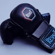 MMA Gyakorló kesztyű | Respect