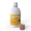 Collagen Formula 10.000 mg - 500 ml - Magna