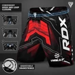 MMA Fight Shorts - IMMAF - RDX